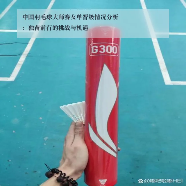 中国羽毛球大师赛女单晋级情况分析：独苗前行的挑战与机遇